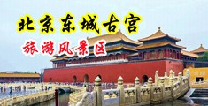 操浪逼网中国北京-东城古宫旅游风景区